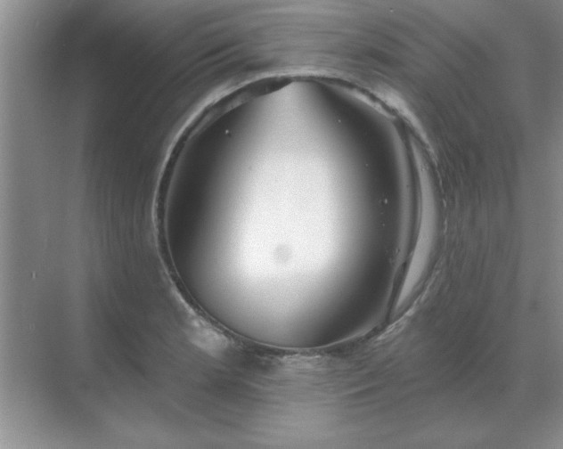 X0000071821181200607072135