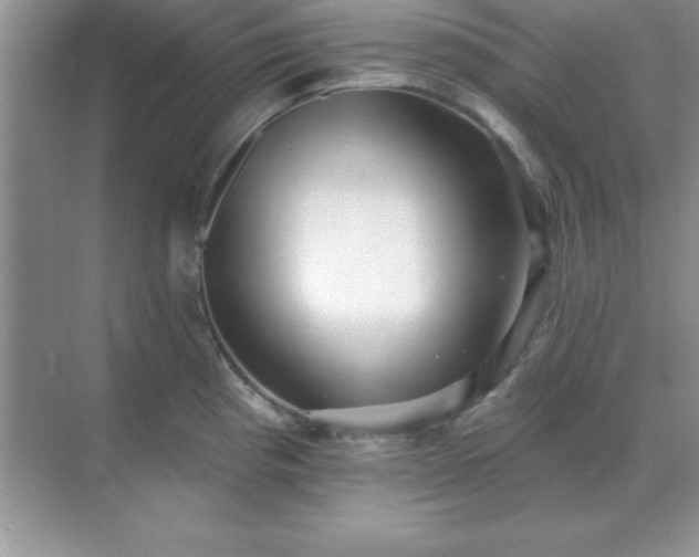 X0000071821193200607072135