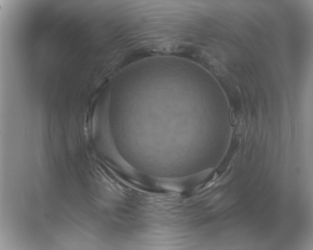 X0000071821202200607072134