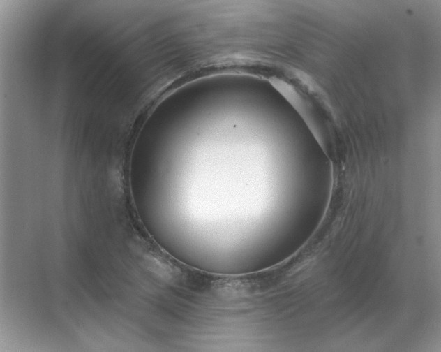 X0000071821217200607072134