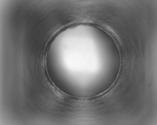 X0000071821220200607072134