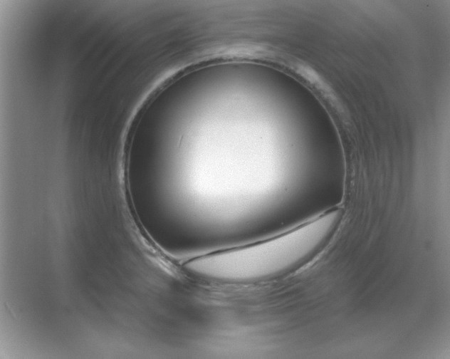 X0000071821232200607072135