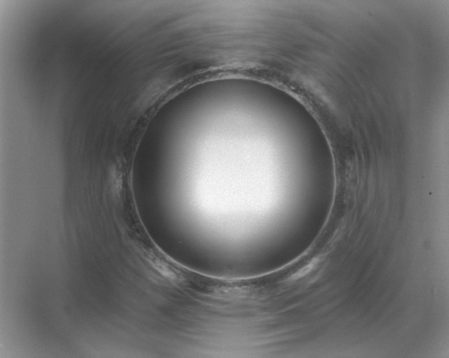 X0000071821257200607072134