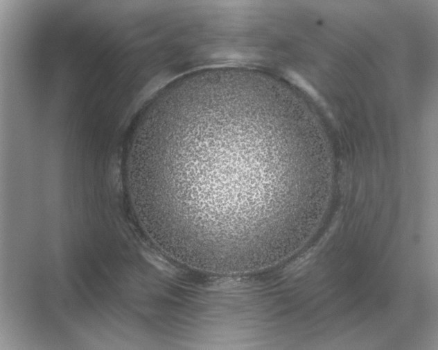 X0000071821259200607072134