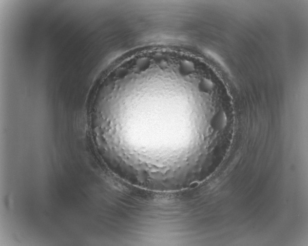X0000071821267200607072134