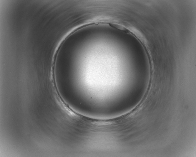 X0000071821296200607072133