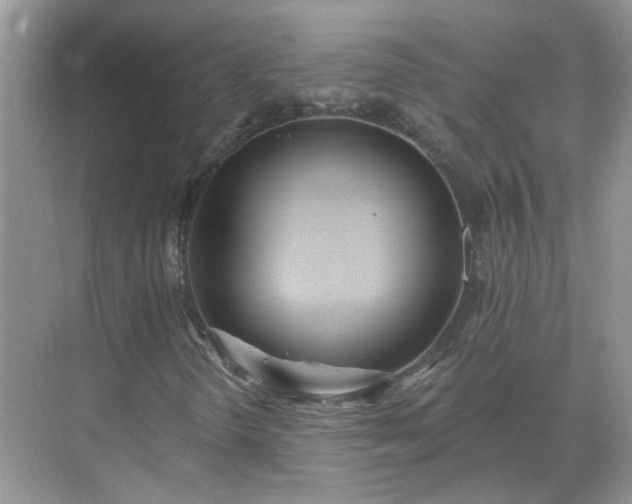 X0000071821298200607072133