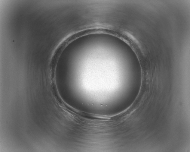 X0000071821310200607072133