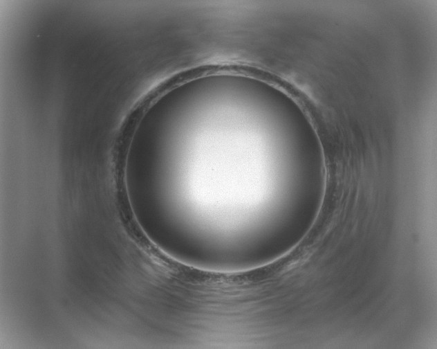 X0000071821311200607072133