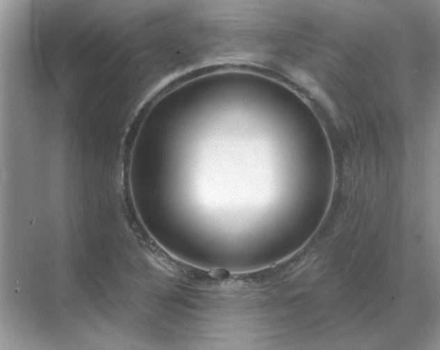 X0000071821316200607072133
