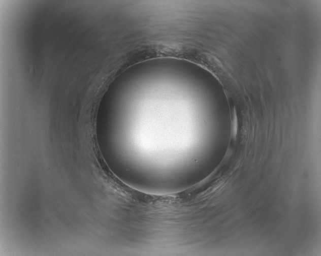 X0000071821345200607072133