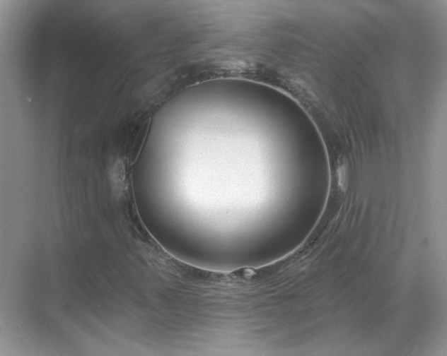 X0000071821347200607072133