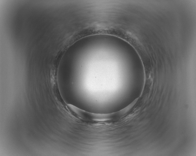 X0000071821348200607072132