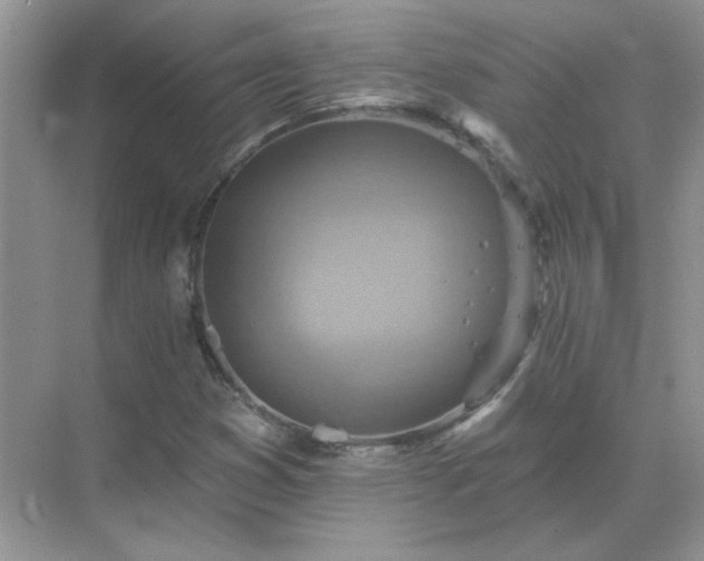 X0000071821353200607072132