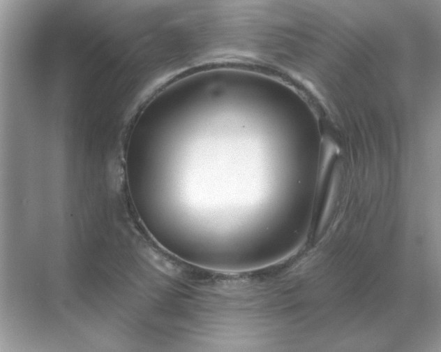 X0000071821363200607072132