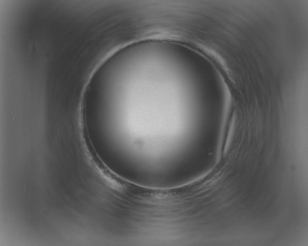 X0000071821375200607072132