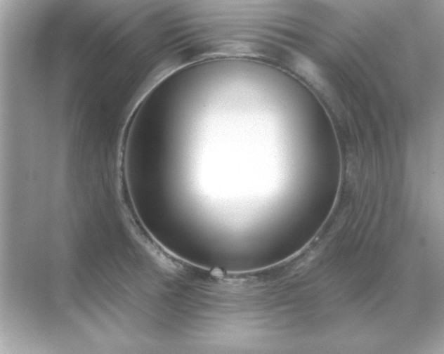 X0000071821378200607072132