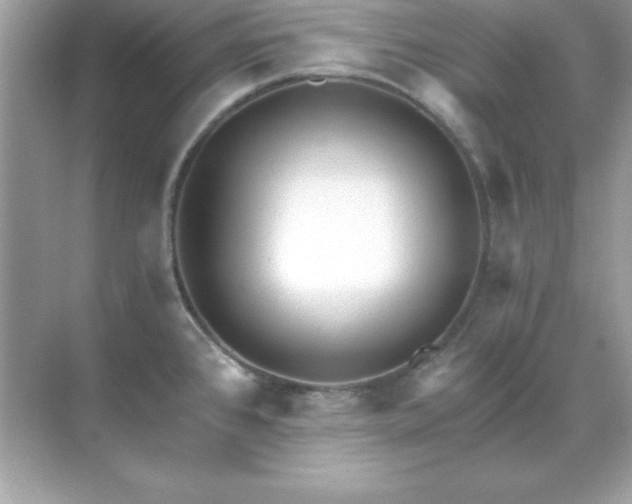 X0000071821384200607072132