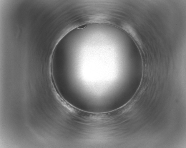 X0000071821386200607072132