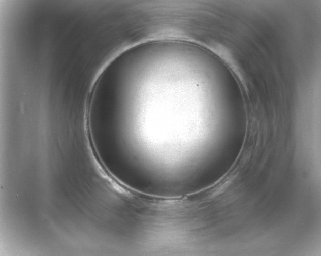 X0000071821390200607072132