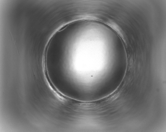 X0000071821391200607072132