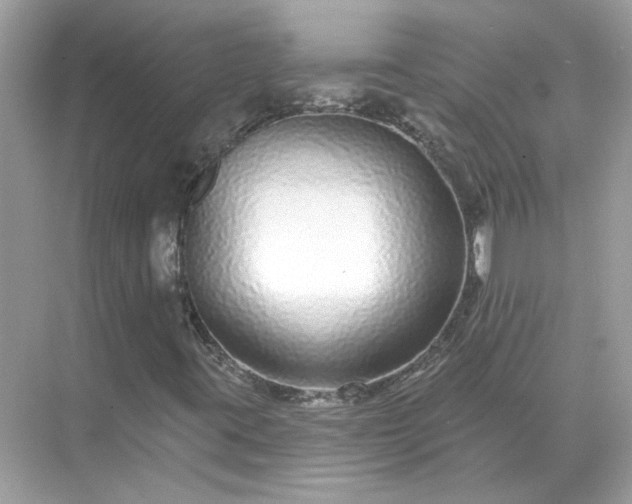 X0000071821395200607072131