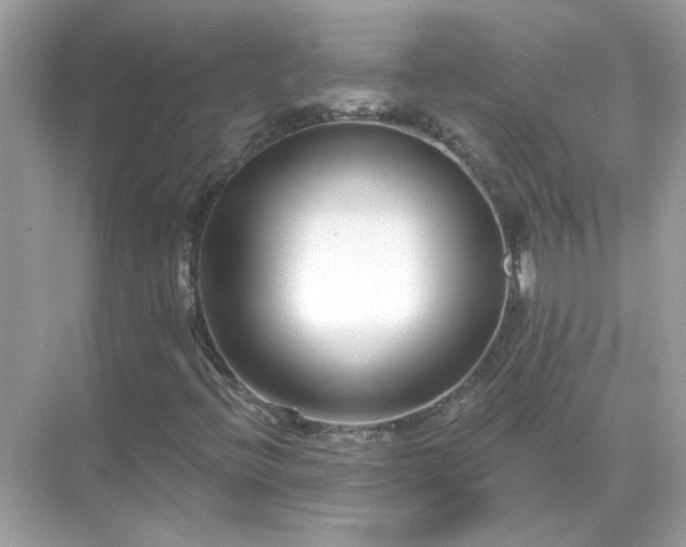 X0000071821396200607072131