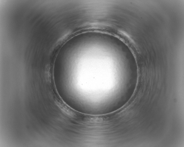 X0000071821403200607072131
