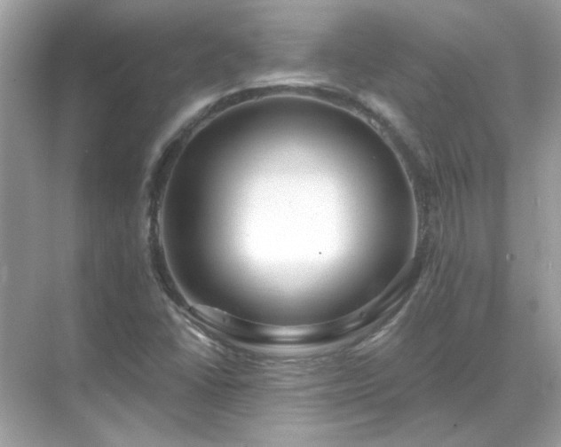 X0000071821406200607072131