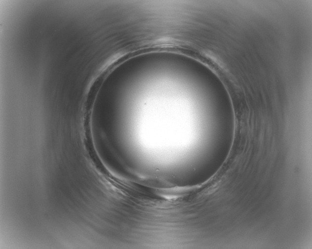 X0000071821410200607072131