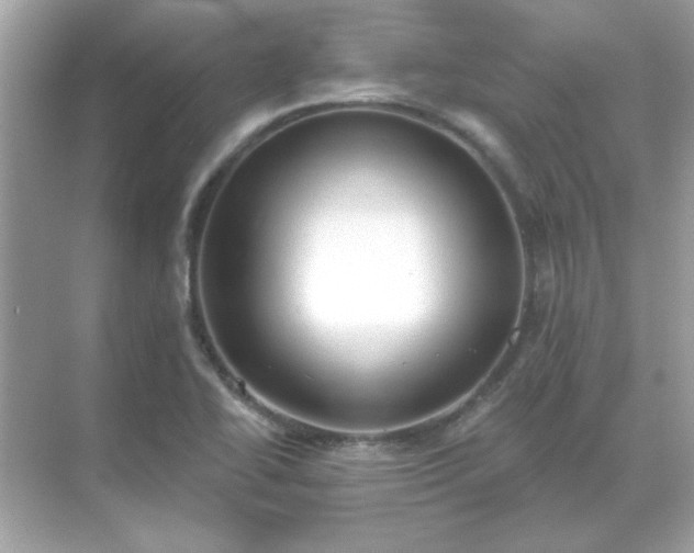 X0000071821414200607072131