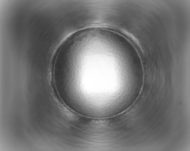 X0000071821415200607072131