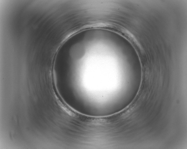 X0000071821417200607072131