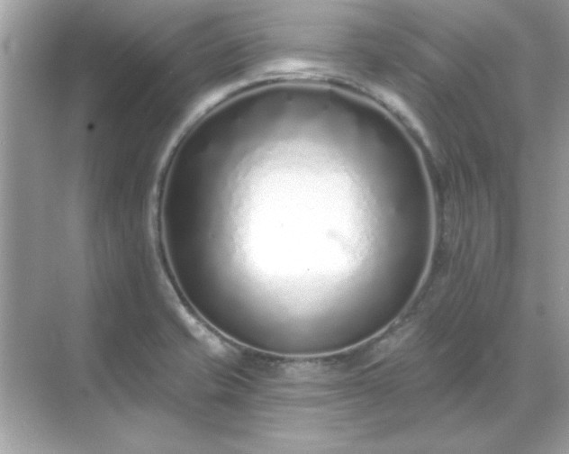 X0000071821421200607072131