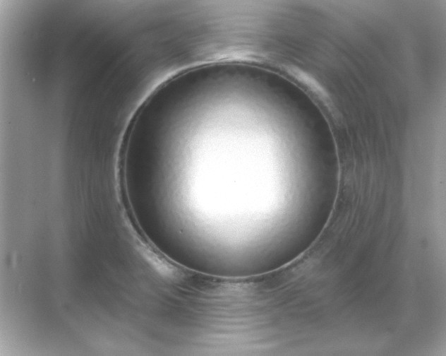 X0000071821423200607072131
