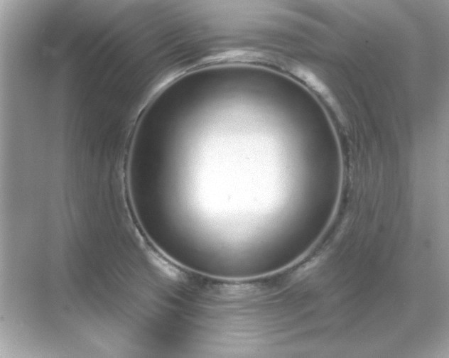 X0000071821425200607072131