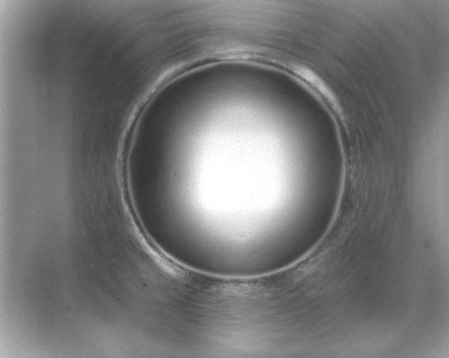 X0000071821429200607072132