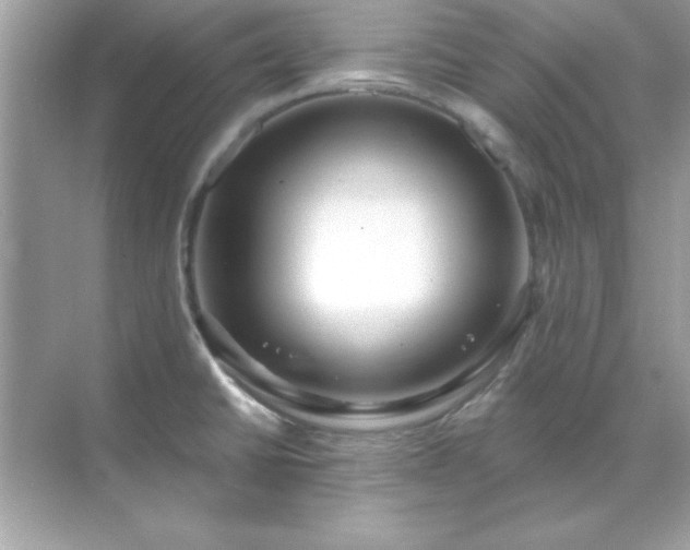 X0000071821430200607072132