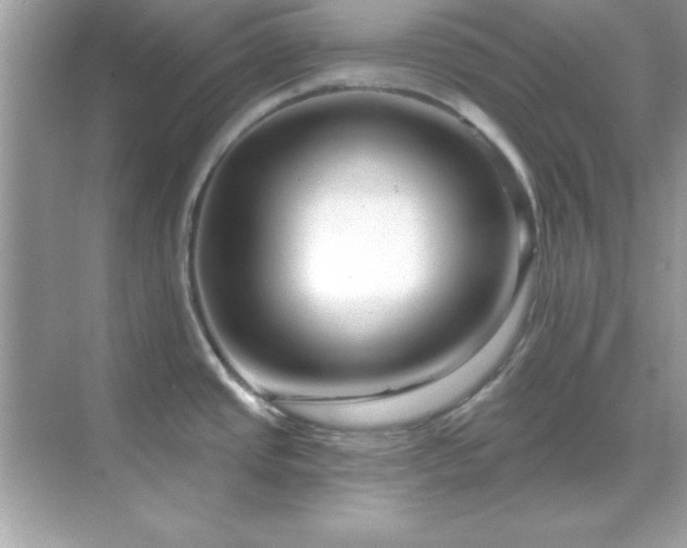 X0000071821437200607072132