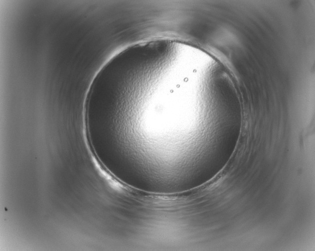 X0000071821439200607072132
