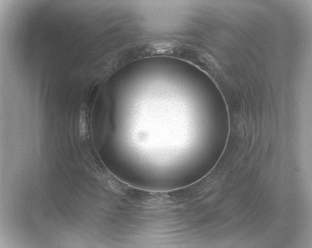 X0000071821442200607072131