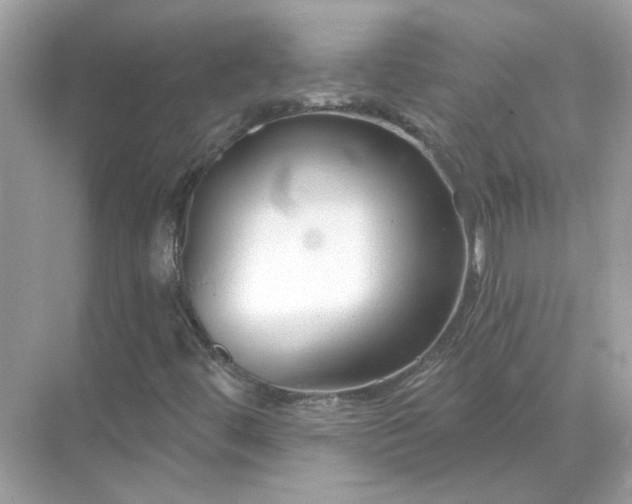 X0000071821444200607072131