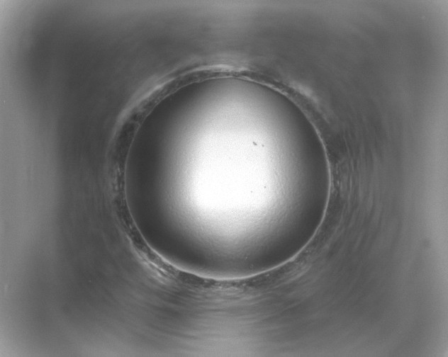 X0000071821448200607072131