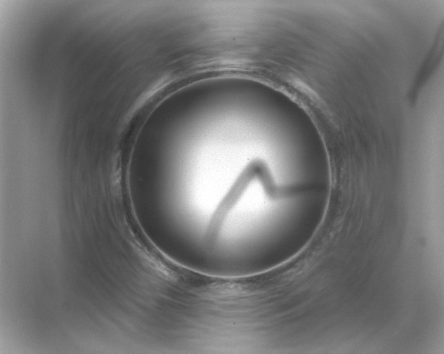 X0000071821450200607072131
