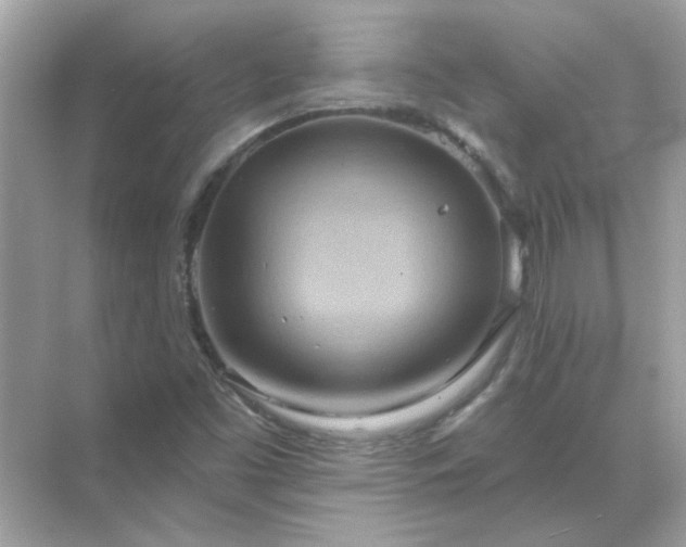 X0000071821453200607072131