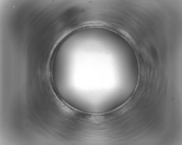 X0000071821466200607072131