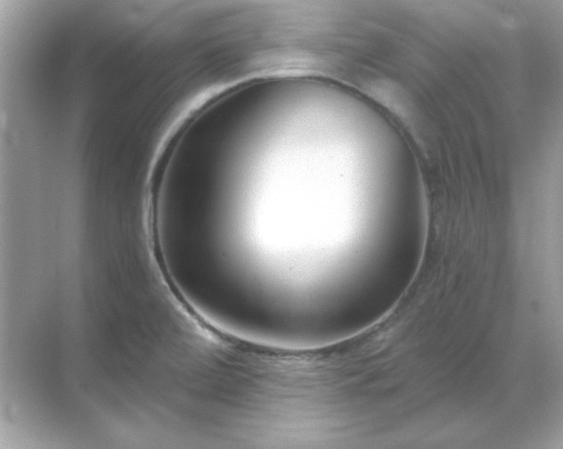 X0000071821472200607072130