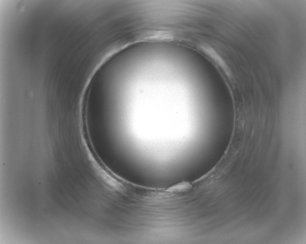 X0000071821475200607072130