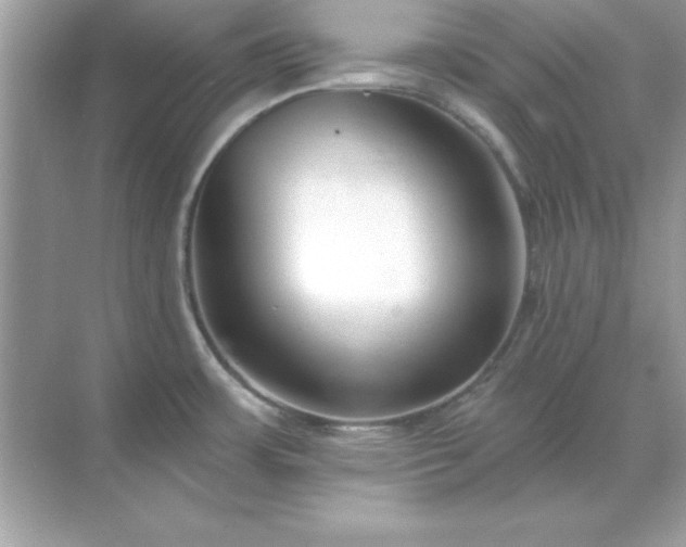 X0000071821483200607072130