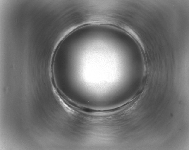 X0000071821485200607072130